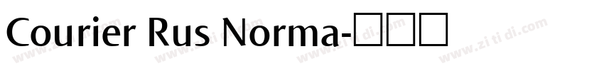 Courier Rus Norma字体转换